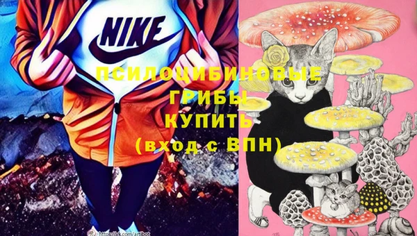 прущий лед Заречный