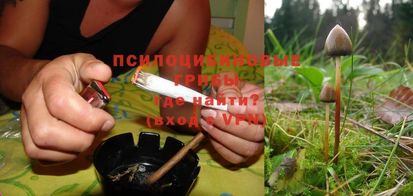прущая мука Бородино
